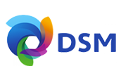 Logotipo DSM